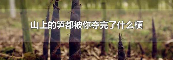 山上的笋都被你夺完了什么梗