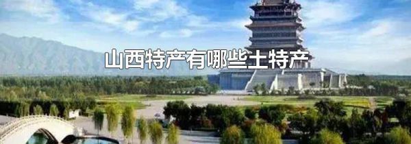 山西特产有哪些土特产