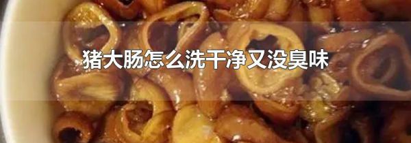 猪大肠怎么洗干净又没臭味