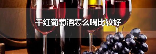 干红葡萄酒怎么喝比较好