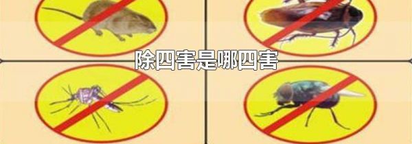 除四害是哪四害