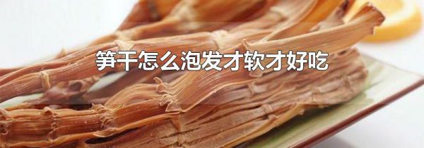 笋干怎么泡发才软才好吃