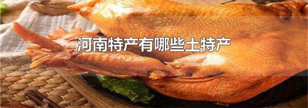 河南特产有哪些土特产