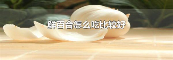 鲜百合怎么吃比较好