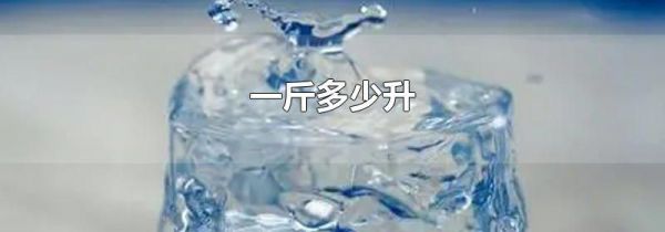 一斤多少升