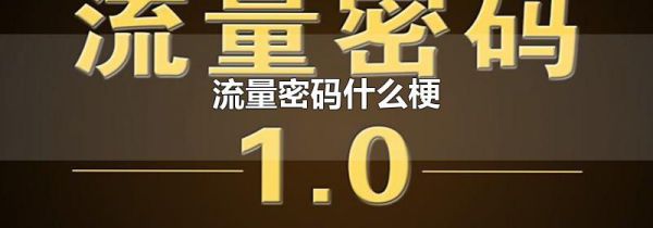 流量密码什么梗
