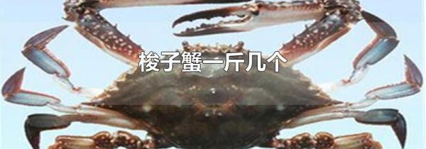 梭子蟹一斤几个
