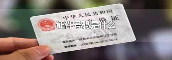 证件号码是什么