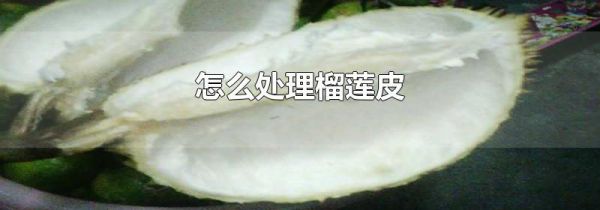 怎么处理榴莲皮
