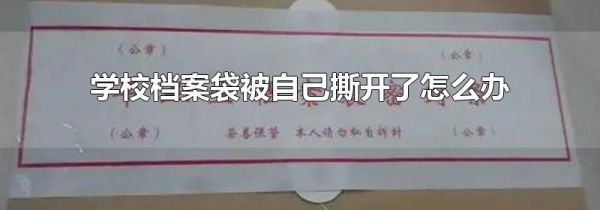 学校档案袋被自己撕开了怎么办