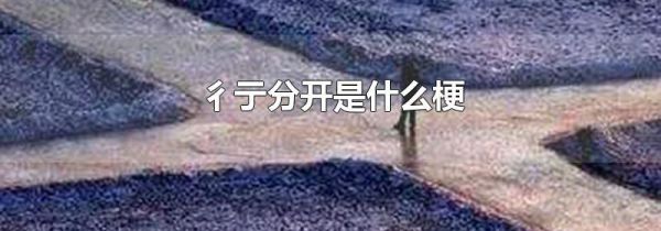 彳亍分开是什么梗