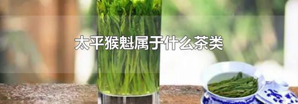 太平猴魁属于什么茶类