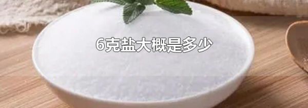 6克盐大概是多少