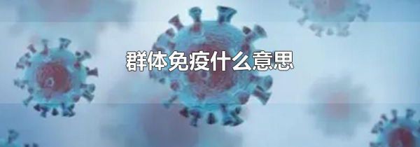 群体免疫什么意思