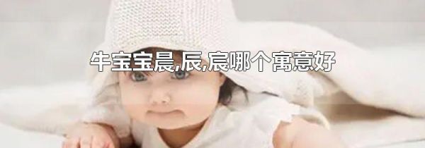 牛宝宝晨,辰,宸哪个寓意好