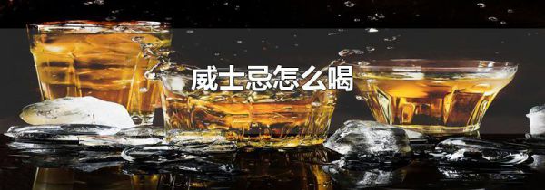 威士忌怎么喝