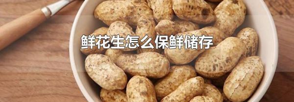 鲜花生怎么保鲜储存