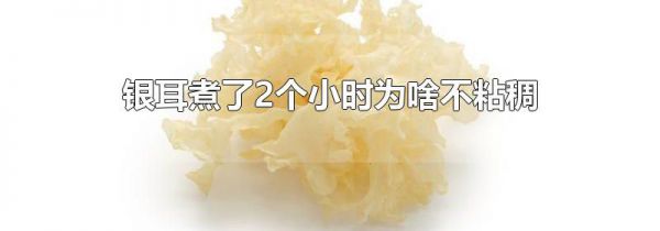 银耳煮了2个小时为啥不粘稠