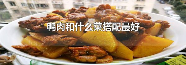 鸭肉和什么菜搭配最好