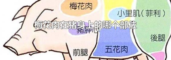 梅花肉在猪身上的哪个部位
