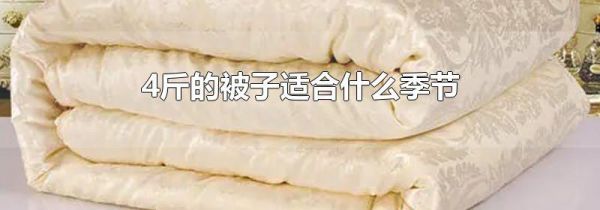 4斤的被子适合什么季节