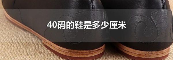 40码的鞋是多少厘米