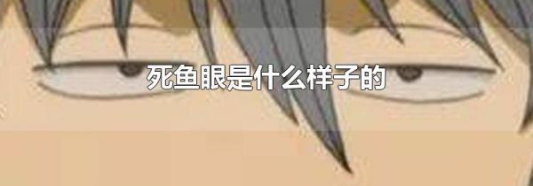 死鱼眼是什么样子的