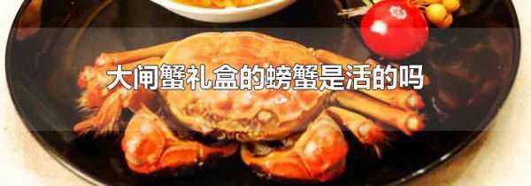 大闸蟹礼盒的螃蟹是活的吗