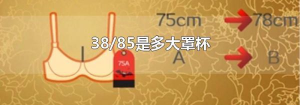 38/85是多大罩杯