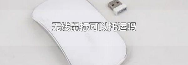 无线鼠标可以托运吗