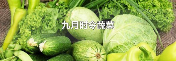 九月时令蔬菜