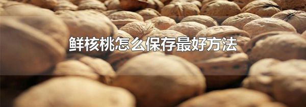 鲜核桃怎么保存最好方法