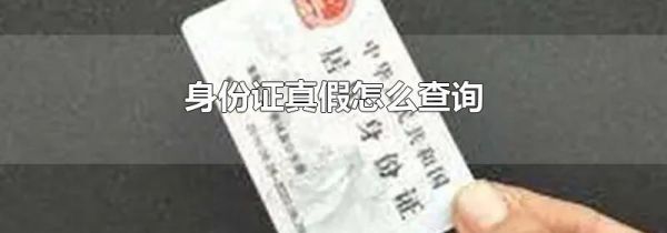 身份证真假怎么查询
