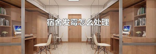 宿舍发霉怎么处理