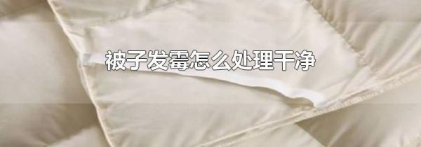 被子发霉怎么处理干净