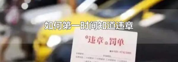 如何第一时间知道违章