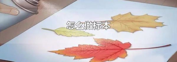 怎么做标本