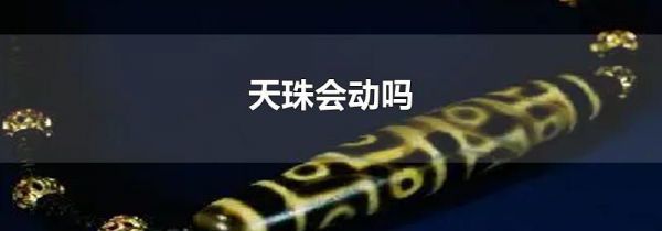 天珠会动吗