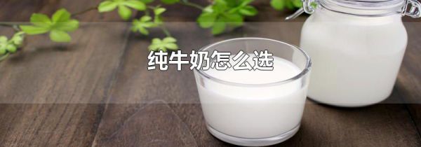 纯牛奶怎么选