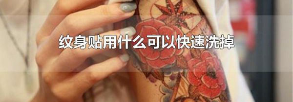 纹身贴用什么可以快速洗掉