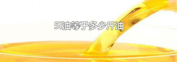 5l油等于多少斤油