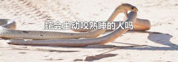 蛇会主动咬熟睡的人吗