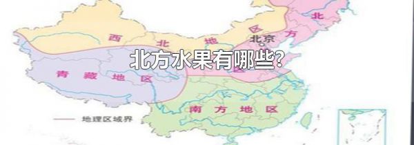 北方水果有哪些?