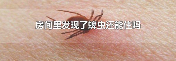 房间里发现了蜱虫还能住吗