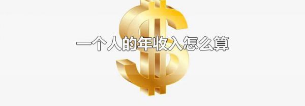 一个人的年收入怎么算