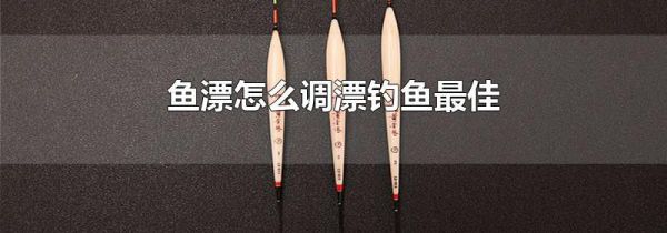 鱼漂怎么调漂钓鱼最佳