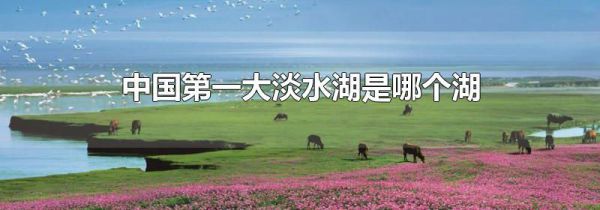 中国第一大淡水湖是哪个湖