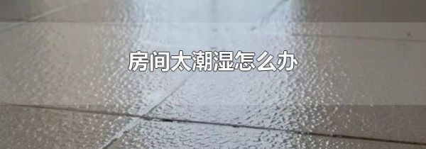 房间太潮湿怎么办