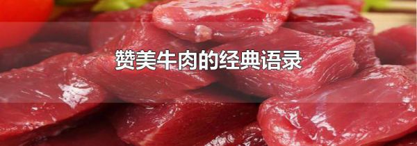 赞美牛肉的经典语录