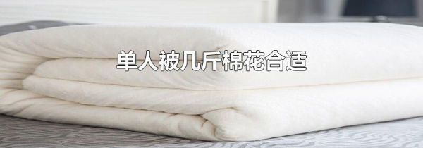 单人被几斤棉花合适